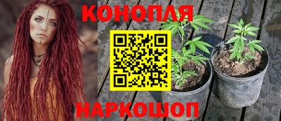 трава Моздок