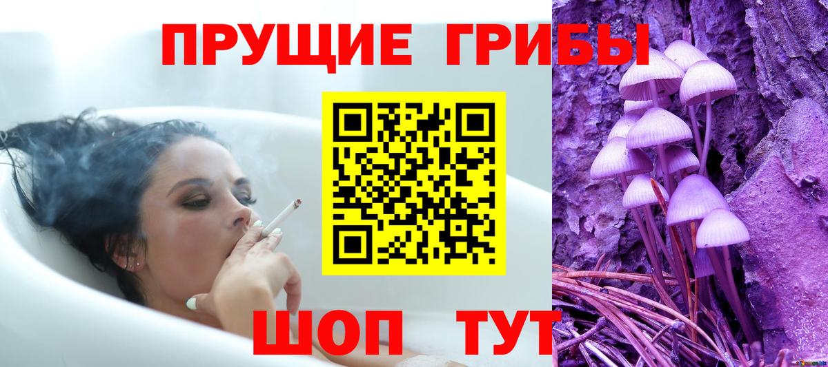 Галлюциногенные грибы GOLDEN TEACHER  Вход с VPN  Владимир 