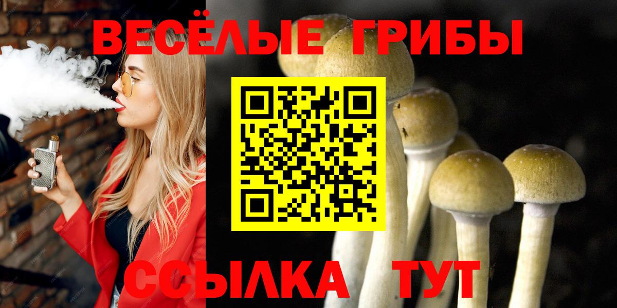Галлюциногенные грибы ЛСД Владимир